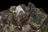 Purple Cubic Fluorite Crystal Cluster - China #142472-2